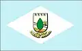 Flag of Erval Velho