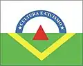 Flag of Viçosa