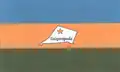 Flag of Teixeirópolis
