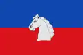 Flag of Biscarrués