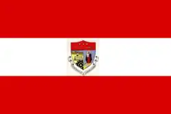 Flag of Coronel Oviedo