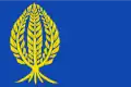 Flag of La Mata de los Olmos
