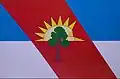 Flag of Monte Quemado