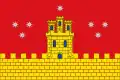 Flag of Pedroche