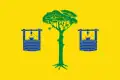 Flag of Pinarejo