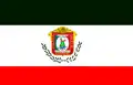 Flag of Texcoco de Mora