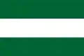 Flag of Comayagua