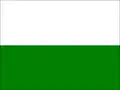 Flag of Estepona