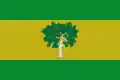 Flag of Higueras