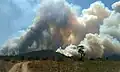 Large smoke can be seen from distance due Bandipur forest fire