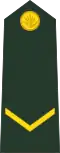 ল্যান্স কর্পোর‍্যাল Lyānsa karpōrāla (Bangladesh Army)[40]