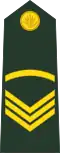 Sergeant (Bengali: সার্জেন্ট, romanized:&nbsp;Sārjēnṭa) (Bangladesh Army)[53]