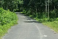 A road in Lakshmichhari