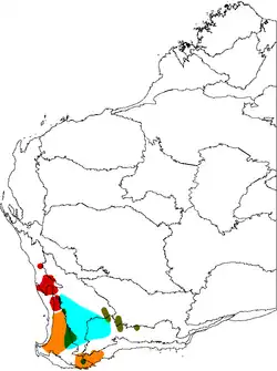 Map of Western Australia, showing ranges of five varieties of Banksia sphaerocarpa, all concentrated in the southwest corner of the continent