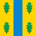 Flag of Staryi Saltiv