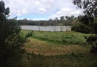 Banyule Flats Reserve, Viewbank