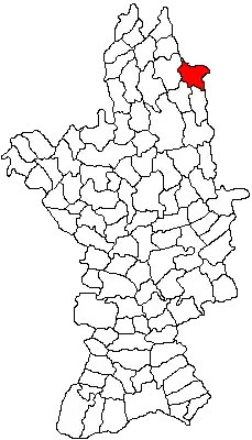 Location in Olt County