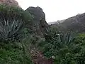 Barranco de Agaete