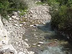 Colour photograph of a stream flowing through woodland, with numerous rocks of various sizes.