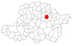 Location in Arad County