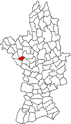 Location in Olt County