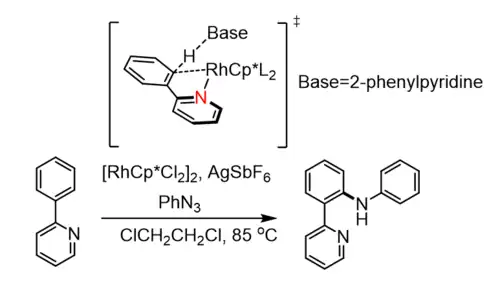 An external base, rather than a catalyst-bound deprotonating ligand, mediates C–H bond activation, while the metal center anchors the substrate from Manjaly J. Ajitha and co-workers in 2016