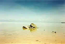 An M4 Sherman rests in the lagoon