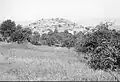 Bayt Mahsir, taken by the Harel Brigade 8–11 May 1948