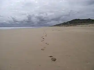 Beach 4
