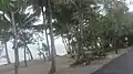 Arlington Esplanade with beach, 2018