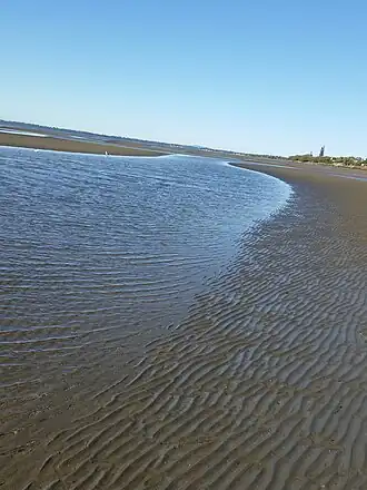 Beachmere, Moreton Bay, with the tide out