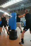 Two men punching a standing punching bag.