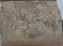 Carved detail with a garland and a pinecone
