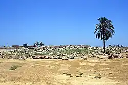 View of the temple site