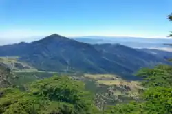 Forests and mountains in Belezma National Park