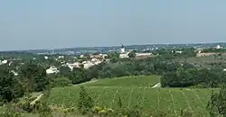 A general view of Belfort-du-Quercy