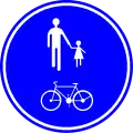 D10: Shared path for pedestrians and cyclists