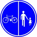 D9a: Segregated path for pedestrians and cyclists