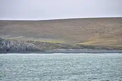 Belkovsky Island, Thilo Bay (Anzhu Islands; 75° 35′ 30″ N, 135° 38′ 44″ E)