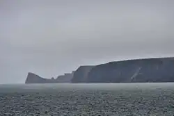 Belkovsky Island (Anzhu Islands; 75° 35′ 30″ N, 135° 38′ 44″ E)