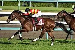 Spring Stakes