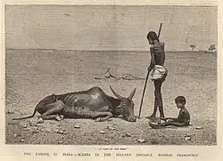 Great Famine of 1876–78 in Bellary.