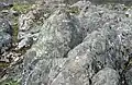 Ben Nevis