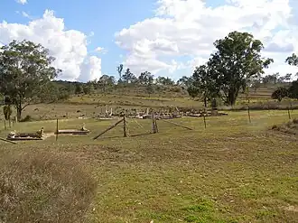 Bergen Djuan cemetery, 2006