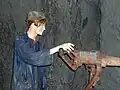 Fell slate mine