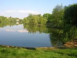 The Obersee lake
