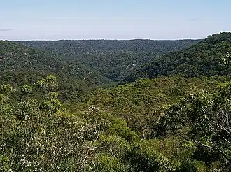 Looking north over Berowra Regional Valley Park