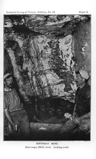 Birthday Mine, First Stope 200 ft level