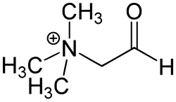 2D representation of the chemical structure of glycine betaine aldehyde .