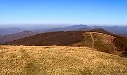 Big Bald (Unaka Range), near the Tennessee–North Carolina line